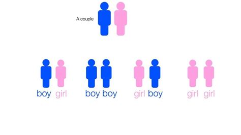probability of being born|Boy or girl paradox .